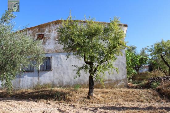 PARCELA RÚSTICA EN IBI(ALICANTE) - ALICANTE