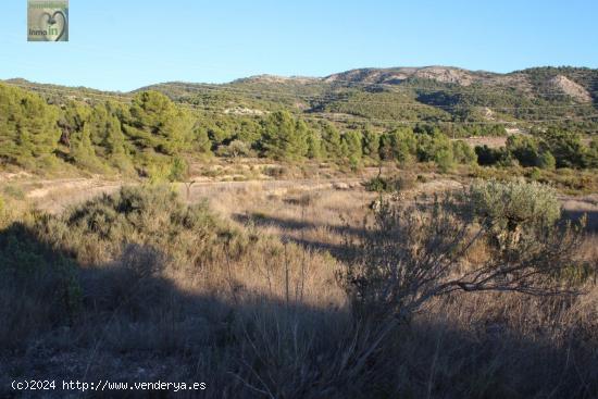 TERRENO RÚSTICO EN TIBI(ALICANTE) - ALICANTE