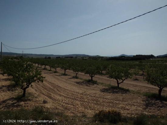 Se Vende en Almansa - ALBACETE