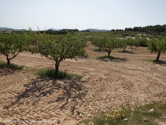 Se Vende en Almansa - ALBACETE