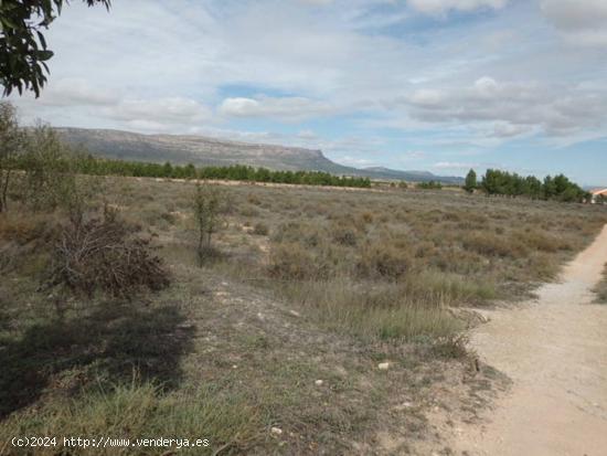 Se Vende en Almansa - ALBACETE