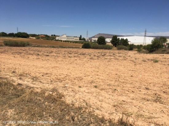 TERRENO CERCANO A LA POBLACIÓN - ALBACETE