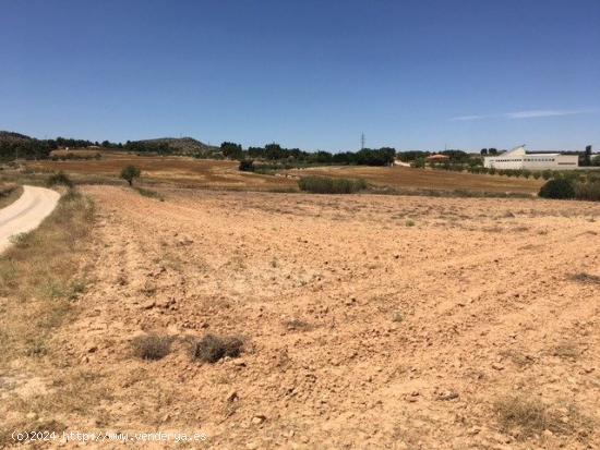 TERRENO CERCANO A LA POBLACIÓN - ALBACETE