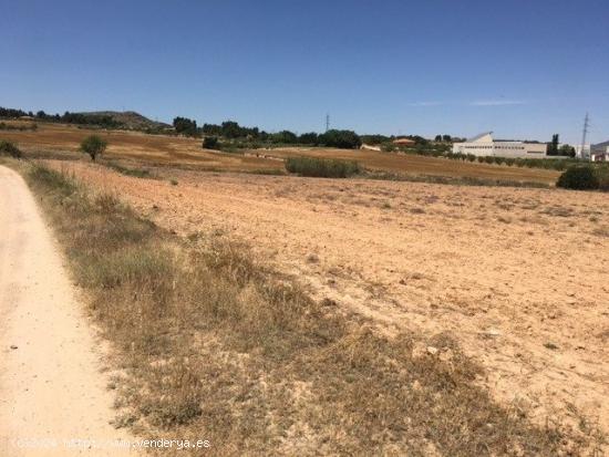 TERRENO CERCANO A LA POBLACIÓN - ALBACETE