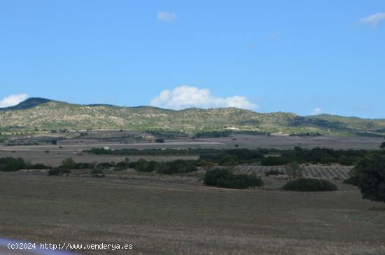 TERRENO A 8KM DE LA POBLACIÓN - ALBACETE