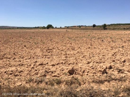 TERRENO EN SAN ANTON - ALBACETE