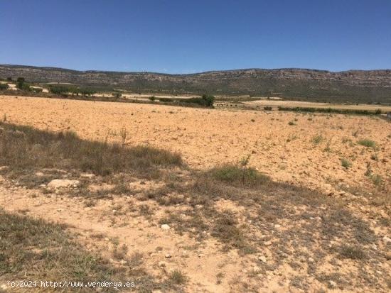 TERRENO EN SAN ANTON - ALBACETE