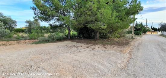 2 PARCELAS EN 1 COMPLETAMENTE LLANAS CON UN TOTAL DE 2300M² - TARRAGONA