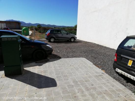 ALG272 - FINCAS GIRBÉS OFRECE A LA VENTA,  PARCELA URBANIZABLE EN LA CALLE PASCUAL FERRER DE ALGEME