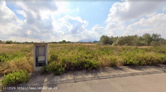  IRE60003 - TERRENO INDUSTRIAL DE 1835 EN POLÍGONO ALZIRA - VALENCIA 