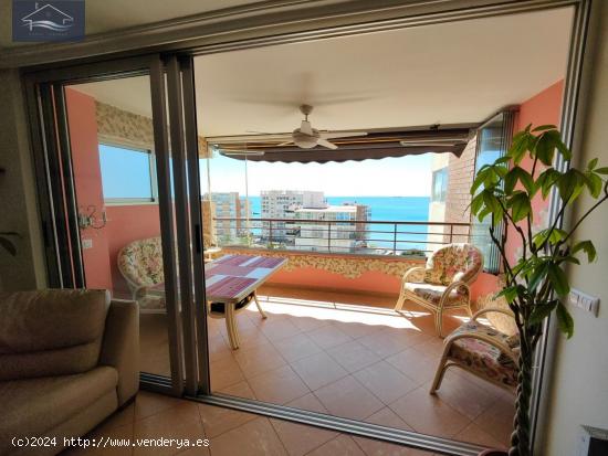 PISO EN VENTA ALICANTE - ZONA ALBUFERA - PLAYA - ALICANTE