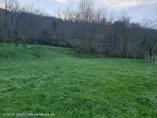 Se Vende en Valle de Mena - BURGOS