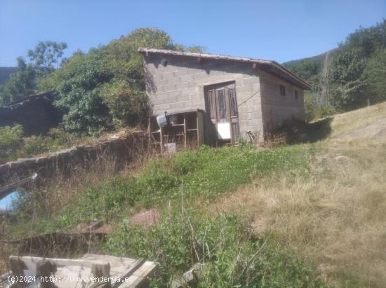 19000 M2 TERRENO RUSTICO EN ZONA ESPINOSA DE LOS MONTEROS - BURGOS