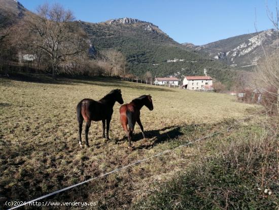 TERRENO URBANO EN VALLE DE MENA - BURGOS