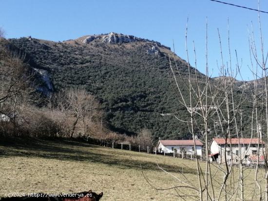 TERRENO URBANO EN VALLE DE MENA - BURGOS