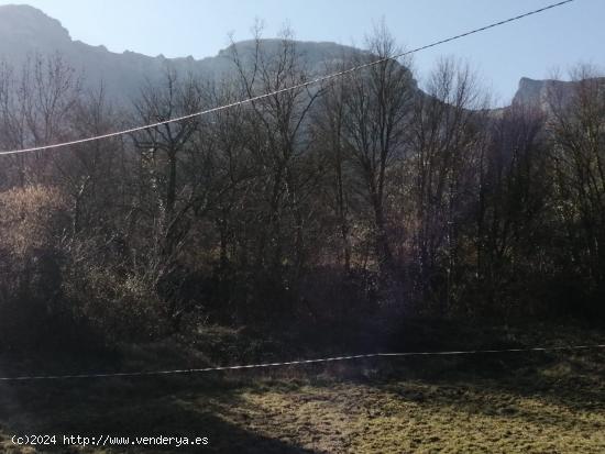 TERRENO URBANO EN VALLE DE MENA - BURGOS