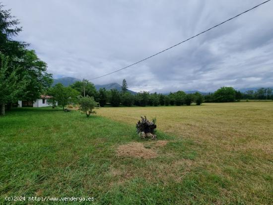 TERRENO URBANO EN VALLE DE MENA - BURGOS