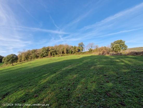 83.744 M2 DE TERRENO RUSTICO Y  CASA A REFORMAR - BURGOS