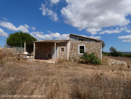  Finca rústica entre Manacor/Villafranca de Bonany - BALEARES 