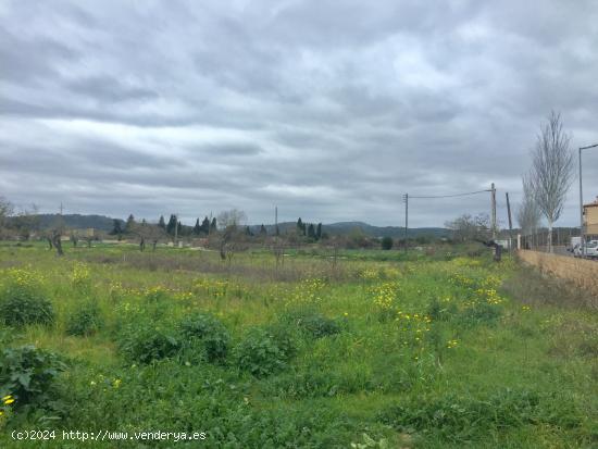 PORRERES, SOLAR BUENAS VISTAS!! - BALEARES