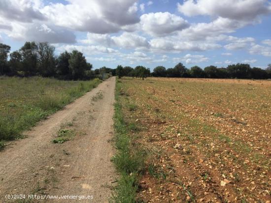 Finca rústica en Felantix. - BALEARES