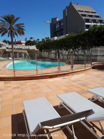 Apartamento en San Agustin- temporada Invierno - LAS PALMAS