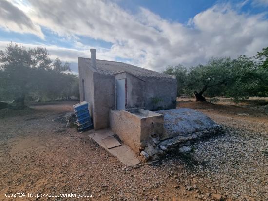 Finca Rústica con Caseta y cisterna de agua - TARRAGONA