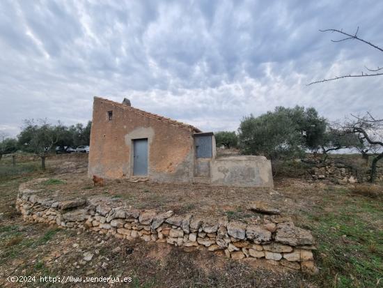 Económica Finca, con antigua caseta de campo de 25 M2 en El Perello - TARRAGONA