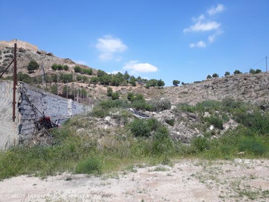  RUSTICA EN ZONA PORTICHUELO - ALICANTE 