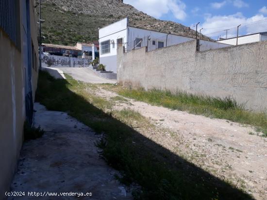 RUSTICA EN ZONA PORTICHUELO - ALICANTE