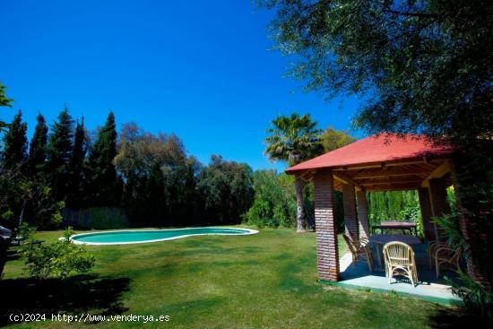 Villa familiar en Sotogrande Costa para alquiler - CADIZ