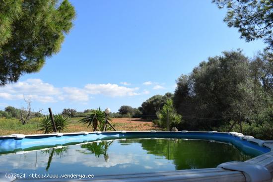 Se Vende en Campos - BALEARES