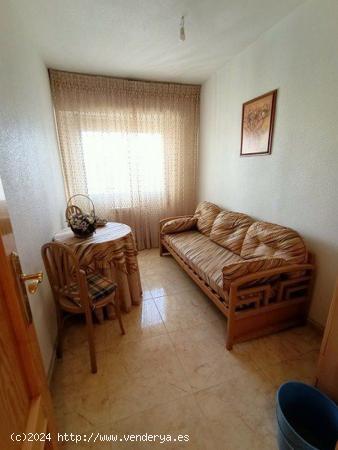 Se Vende en Alguazas - MURCIA