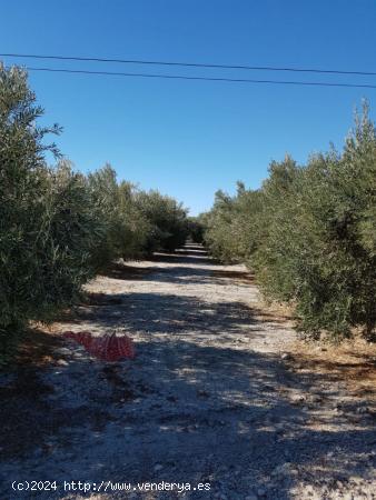 Se Vende en Abanilla - MURCIA