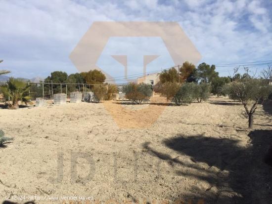  SE VENDE PARCELA EN EL ROMERAL MOLINA DE SEGURA - MURCIA 