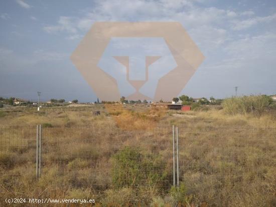 SE VENDE PARCELA EN LA URBANIZACIÓN EL PINO DE MOLINA DE SEGURA - MURCIA