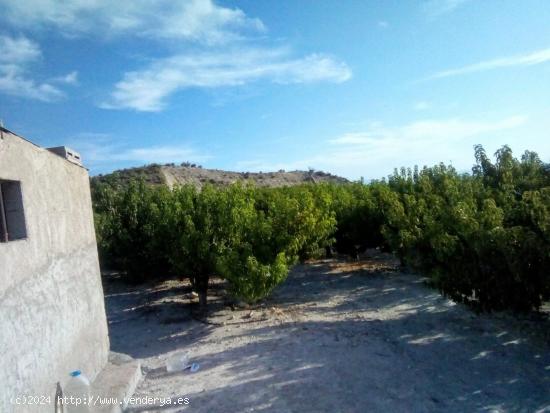 SE VENDE PARCELA EN MOLINA DE SEGURA - MURCIA