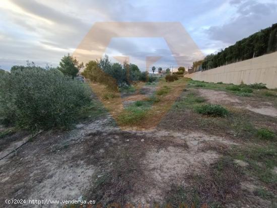 SE VENDE PARCELA EN EL ROMERAL DE MOLINA DE SEGURA - MURCIA