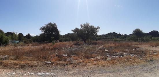  TERRENO URBANIZABLE EN LA CONARDA. - VALENCIA 