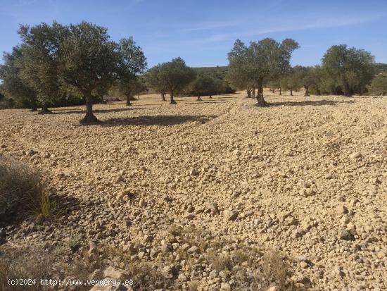 PARCELA RUSTICA DE 15.000M2 CERCA DEL CASCO URBANO - ALBACETE