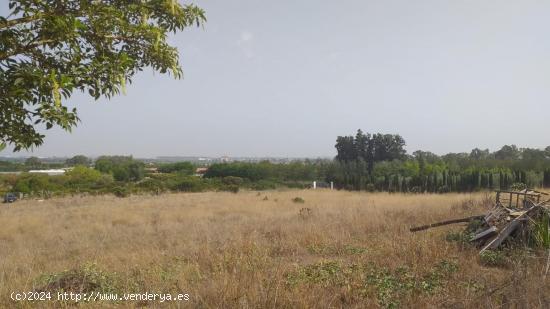  TERRENO RÚSTICO DE 11400M2 - CADIZ 