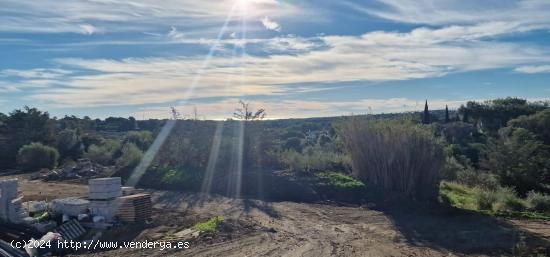 CALLE LAUREL ZONA RESERVA SOTOGRANDRE PARCELA CON PROYECTO CONSTRUCCIÓN. - CADIZ