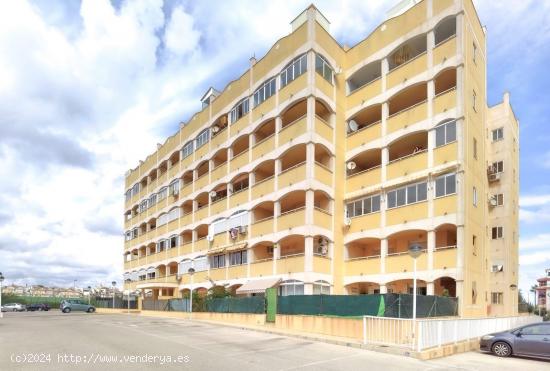 PRECIOSO APARTAMENTO DE 2 DORMITORIOS CON PISCINA COMUNITARIA - ZONA TORREMARINA, TORREVIEJA- - ALIC