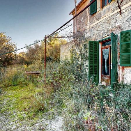  Finca con 50.000 de terreno con casa de campo en Manacor - BALEARES 