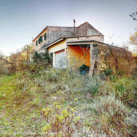 Finca con 50.000 de terreno con casa de campo en Manacor - BALEARES