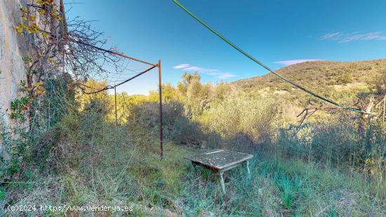 Finca con 50.000 de terreno con casa de campo en Manacor - BALEARES