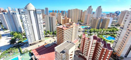  PISO EN VENTA.  LEVANTE BENIDORM ( PISCINA,PARKING CERCA DE LA PLAYA ) - ALICANTE 