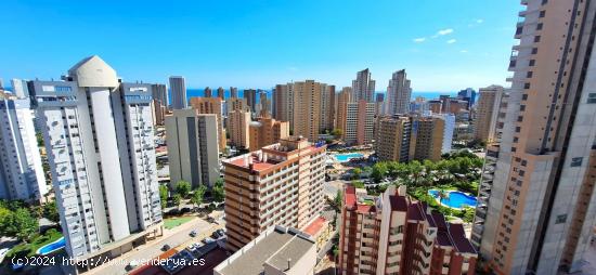 PISO EN VENTA.  LEVANTE BENIDORM ( PISCINA,PARKING CERCA DE LA PLAYA ) - ALICANTE