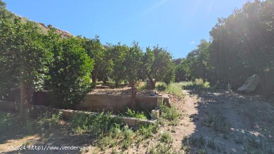 FINCA RUSTICA DE REGADIO EN EL VALLE DE LECRIN - GRANADA