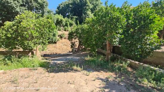 FINCA RUSTICA DE REGADIO EN EL VALLE DE LECRIN - GRANADA